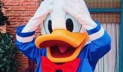 娱乐吃瓜君鸭,揭秘娱乐圈那些不为人知的幕后故事