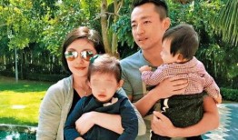 爆料汪小菲视频大全集,揭秘豪门生活点滴