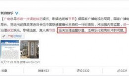 娱乐圈爆料文字模板下载,揭秘明星背后的秘密与真相