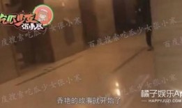 邢昭林狗仔爆料视频大全,揭秘娱乐圈幕后真相