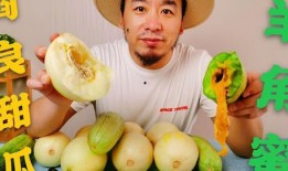 网红瓜在哪儿吃比较好吃,探寻各地美食，解锁最佳品尝攻略