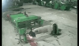 大仙粉丝爆料事件视频大全,揭秘网络红人幕后真相