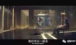 电影机械姬在线观看,揭秘未来人工智能的惊悚之旅