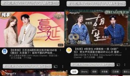 爆料四姐视频大全最新版,揭秘热门事件幕后真相