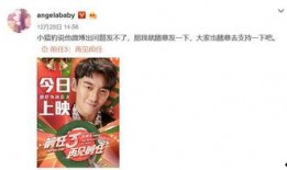 娱乐圈爆料文字模板下载,揭秘明星背后的秘密与真相