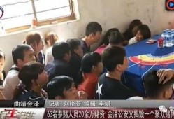 云南学校爆料新闻事件,揭开校园安全与教育乱象的神秘面纱