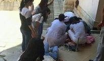 云南学校爆料新闻事件,揭开校园安全与教育乱象的神秘面纱