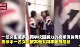 女孩视频爆料大全下载免费,免费下载，一网打尽热门内容
