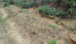 玉圭园最新爆料,揭秘神秘古墓宝藏与千年传奇