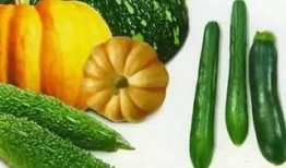 有什么免费吃瓜的资源,畅享娱乐盛宴，不花一分钱！