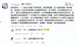 原神最新爆料榜是谁的,神秘角色生成之谜揭晓
