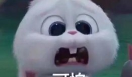 善堂网红吃瓜事件真相是真的吗,真相揭秘，还原事件始末