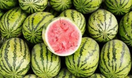 网红吃瓜qq颜色,揭秘QQ颜色背后的秘密